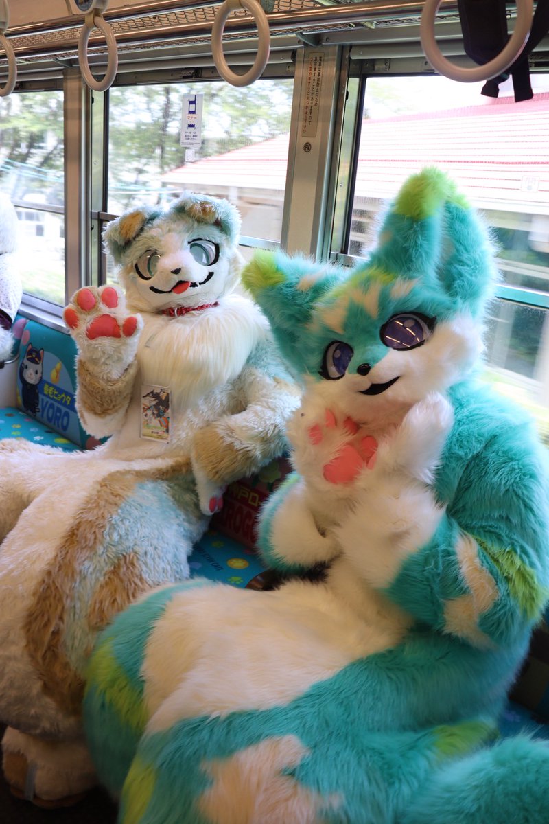 📷️<a href="/b1u9i8l2d/">宍丸</a> 
＃リュゼライナー101号