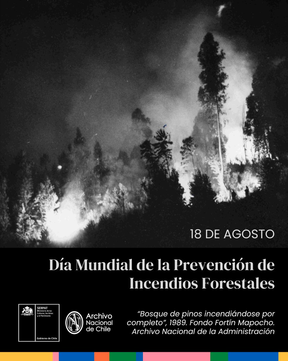 🔥🌲18 de agosto | Día Mundial de la Prevención de Incendios Forestales 🌍Hoy recordamos la importancia de cuidar nuestros bosques, pulmones del planeta y refugio de miles de especies.
¡Está en nuestras manos prevenirlos! 

Cuidar el bosque es cuidar la vida.