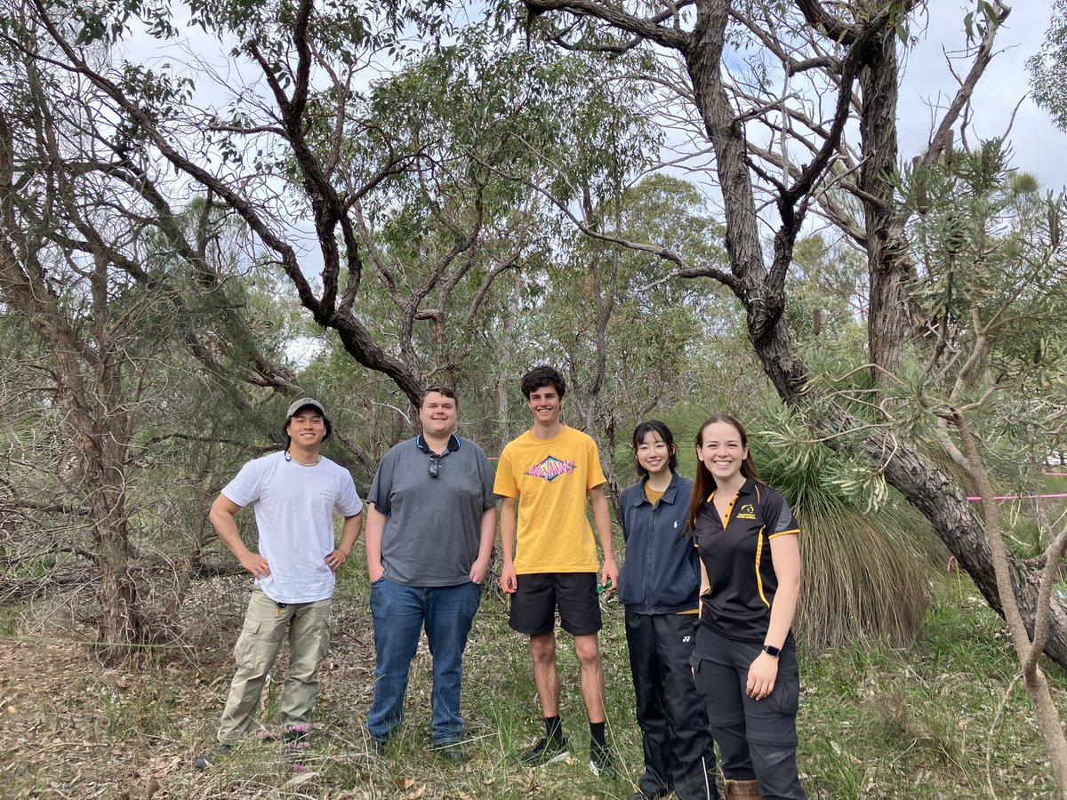 MarkKLWong's tweet photo. New paper in #BiologicalConservation: Artificial light at night has surprisingly limited effects on ant communities in a field experiment💡🐜 Research by fantastic students @BiolSci_UWA @uwanews I had the pleasure of supervising. https://t.co/TxJl7OJPHQ #ALAN #Ecology #Insects https://t.co/LMAoYKvDrv