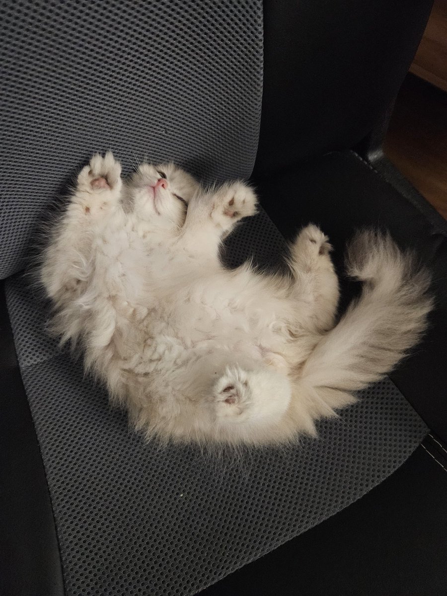 saintmorrigan's tweet image. флексит