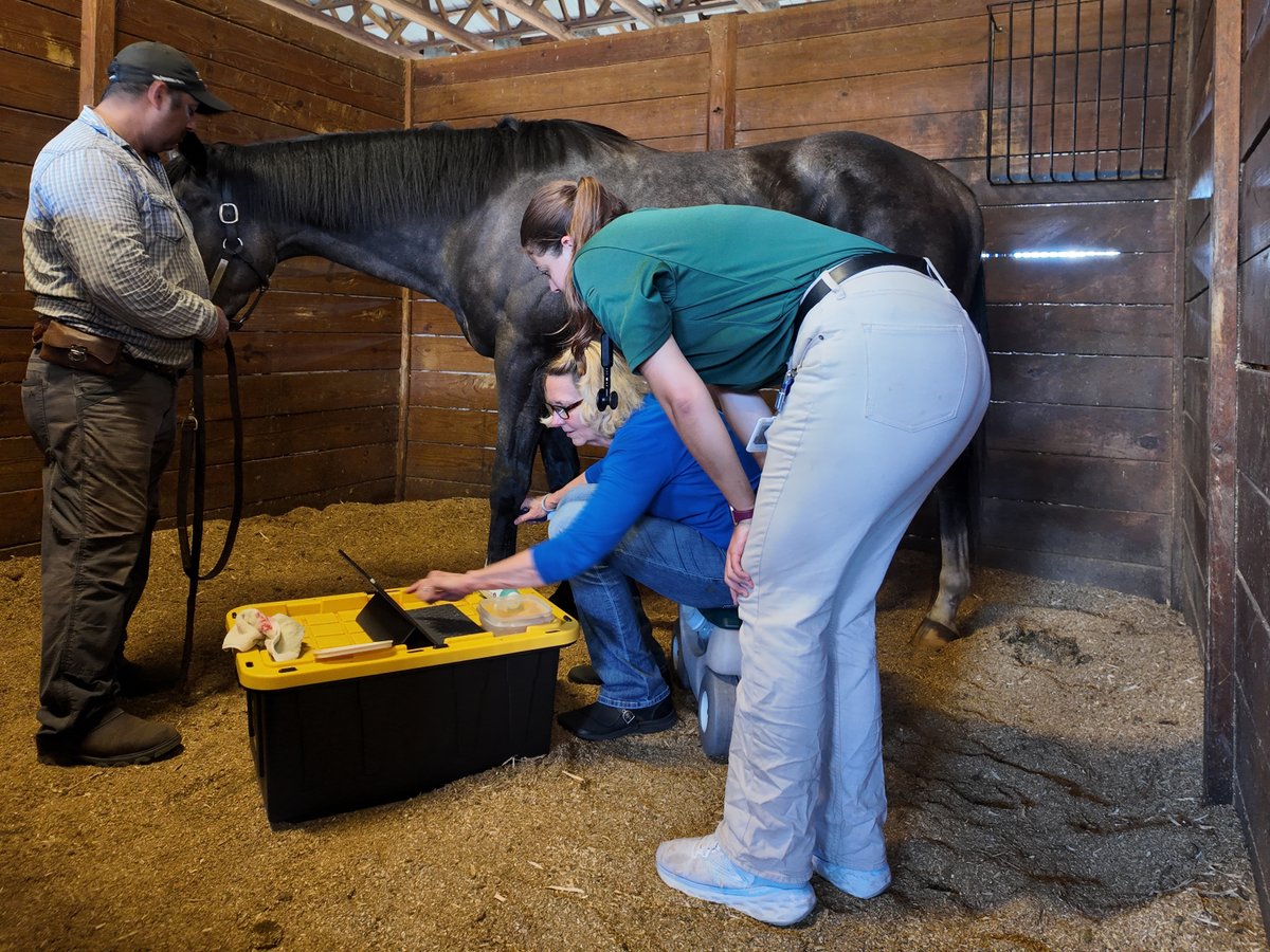 New Vocations’ Ocala, FL facility was proud to welcome third-year <a href="/UFVetMed/">UFVetMed</a> students for a hands-on experience examining our horses to help ensure they’re ready for their next career.🐴 #RehabRetrainRehome #OTTB