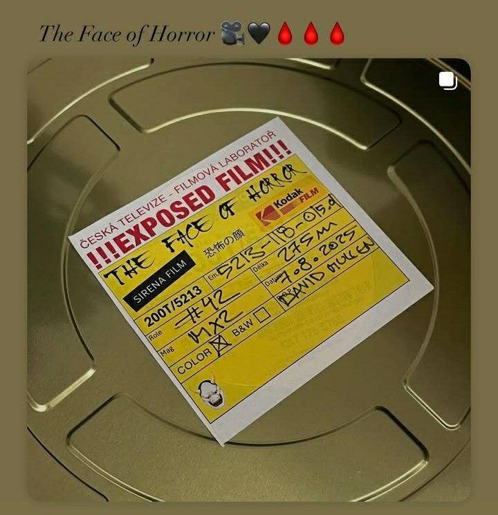 Next <a href="/missannabiller/">Anna Biller</a> masterpiece IN PROGRESS #thefaceofhorror