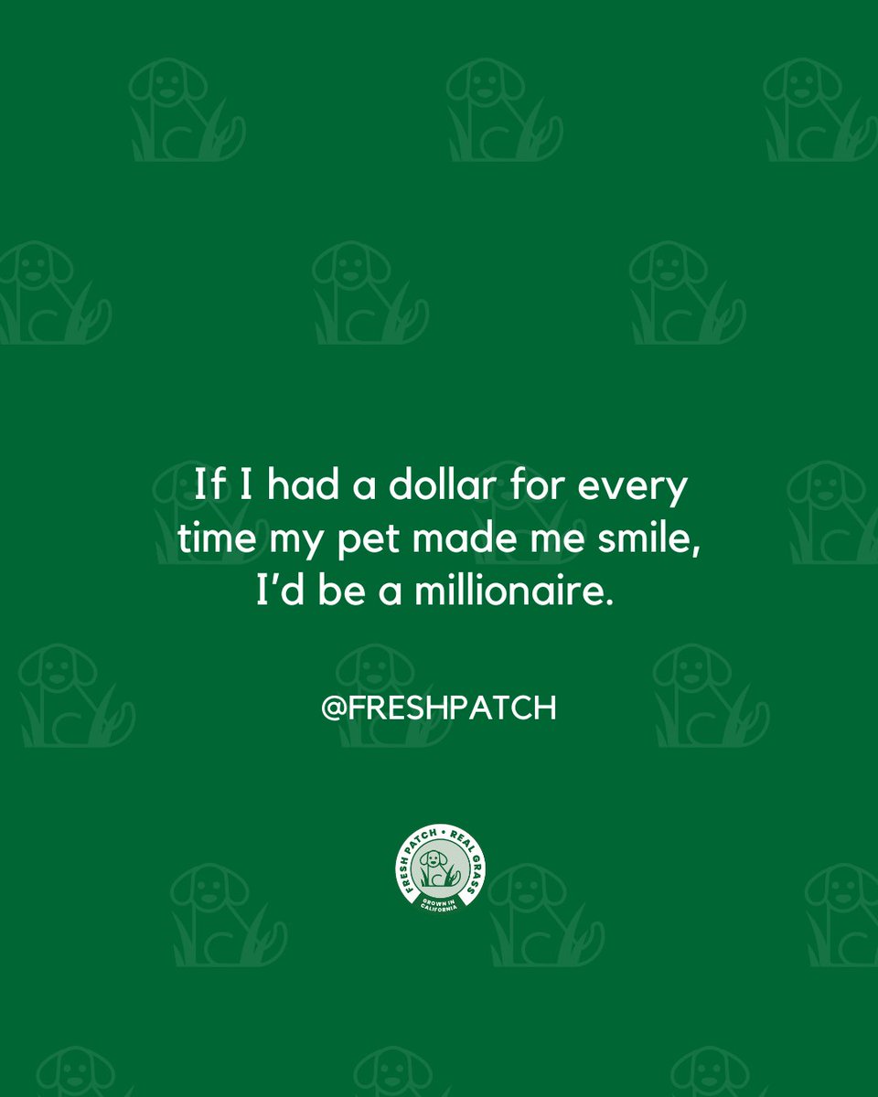 FreshPatch's tweet image. There would be a lot of millionaires 😂 ⁠
⁠
#FreshPatch #PetParent #PetQuote