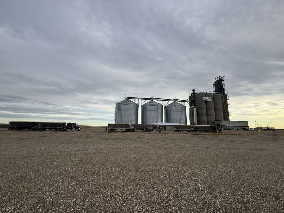 It's a good morning for harvest hauling in Rycroft, AB! 

📸: Samy Meyer