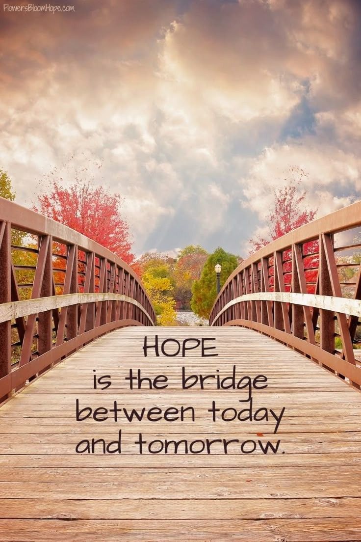 POSITIVITY (@positivitysaid) on Twitter photo 