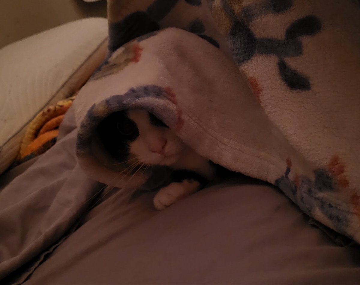 babooshka