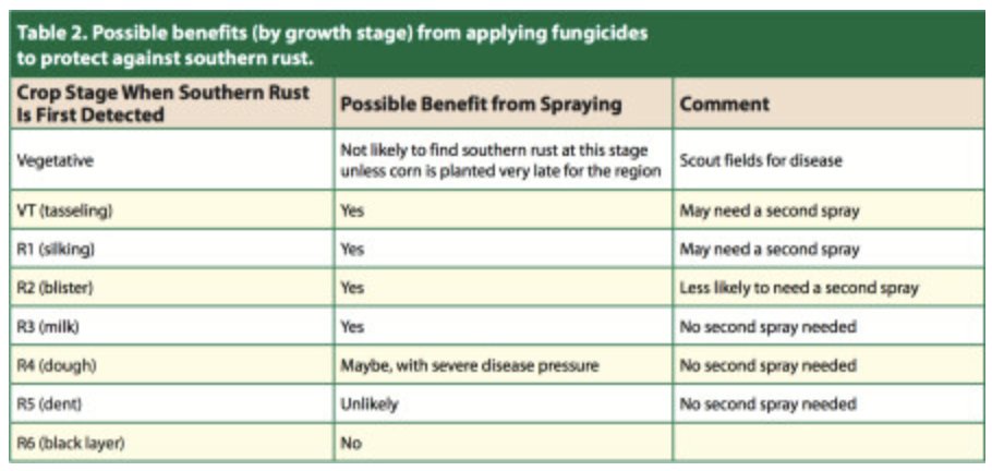 Getting lots of questions on spraying corn for southern rust. As is always the case, the answer is "It depends..." What does it depend on? Growth Stage! See table 2 in this <a href="/CropNetwork/">Crop Protection Network</a> pub which lays out the critical growth stages for fungicide apps: cropprotectionnetwork.org/publications/a….