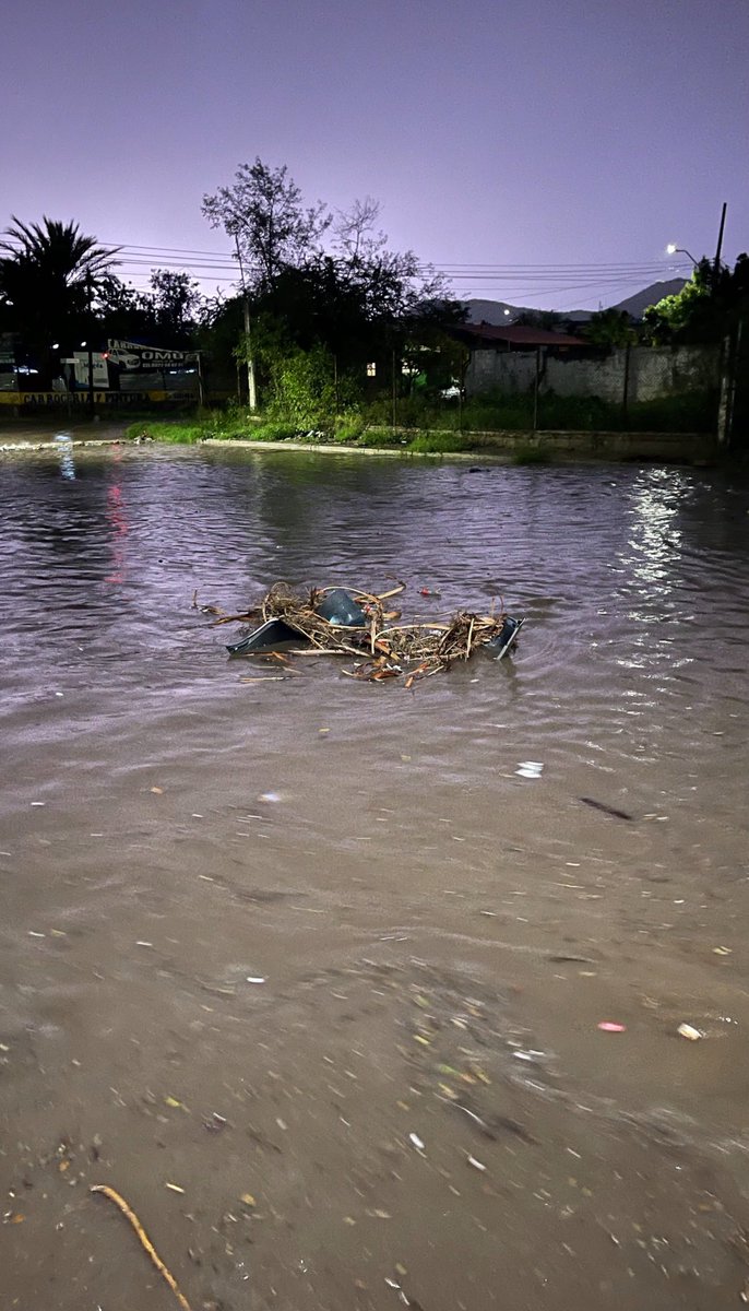 Después de una mega lluvia así amaneció hoy, cuando estaba Célida con un agüita se ponía así y yo mismo me tenía que poner a limpiar o se me inundaba. 

Son chingones en <a href="/servpublicoshmo/">Servicios Públicos Municipales</a>, lo que es.