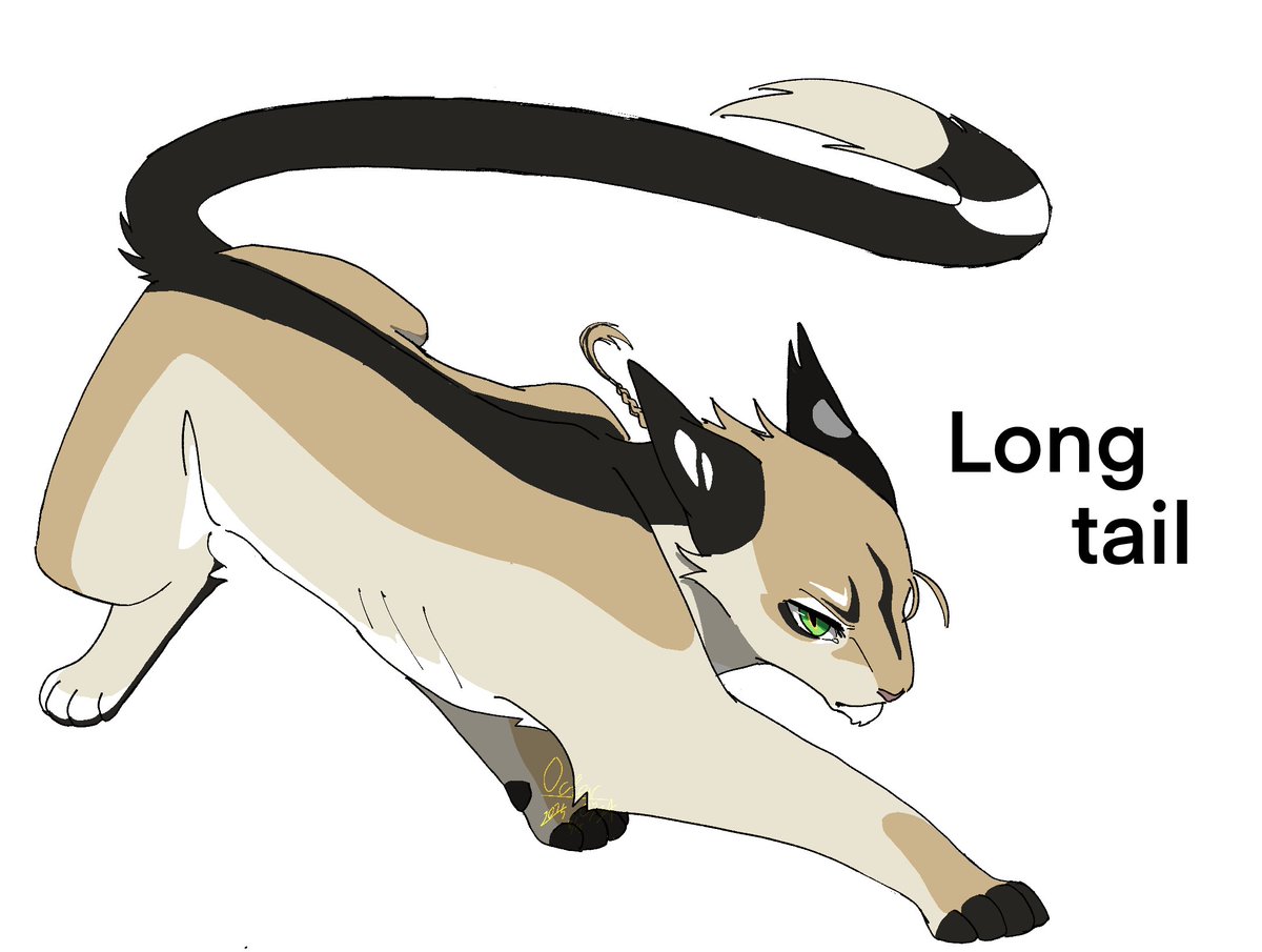 ふぐ🐡skeb (@matsu13405) / Posts / X