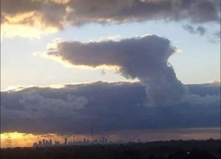 El George tweet media