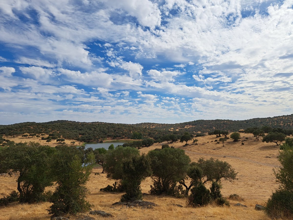 Carlos Gregorio Hernández (@chernandez2030) on Twitter photo ☁️☀️Llega el esperado cambio de tiempo a #Extremadura 👇
@tiempobr ☁️☀️Llega el esperado cambio de tiempo a #Extremadura 👇
@tiempobr
