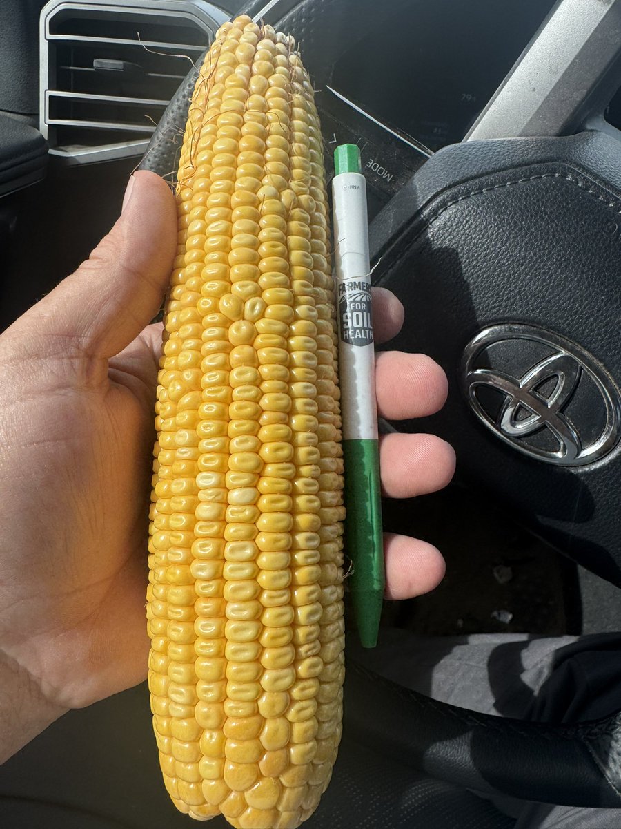 This is either year 7 or 8 of AV8614AM. Still in the ring for 300+ contenders. Will be sad to let it go next year, but we got some really nice big boys taking its place for grain and silage!