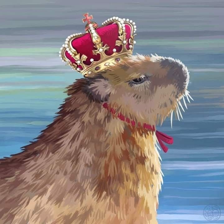 Gabehq_'s tweet photo. @NASA @NASASolarSystem This has the capybara seal of approval https://t.co/wo1ry8xw5b
