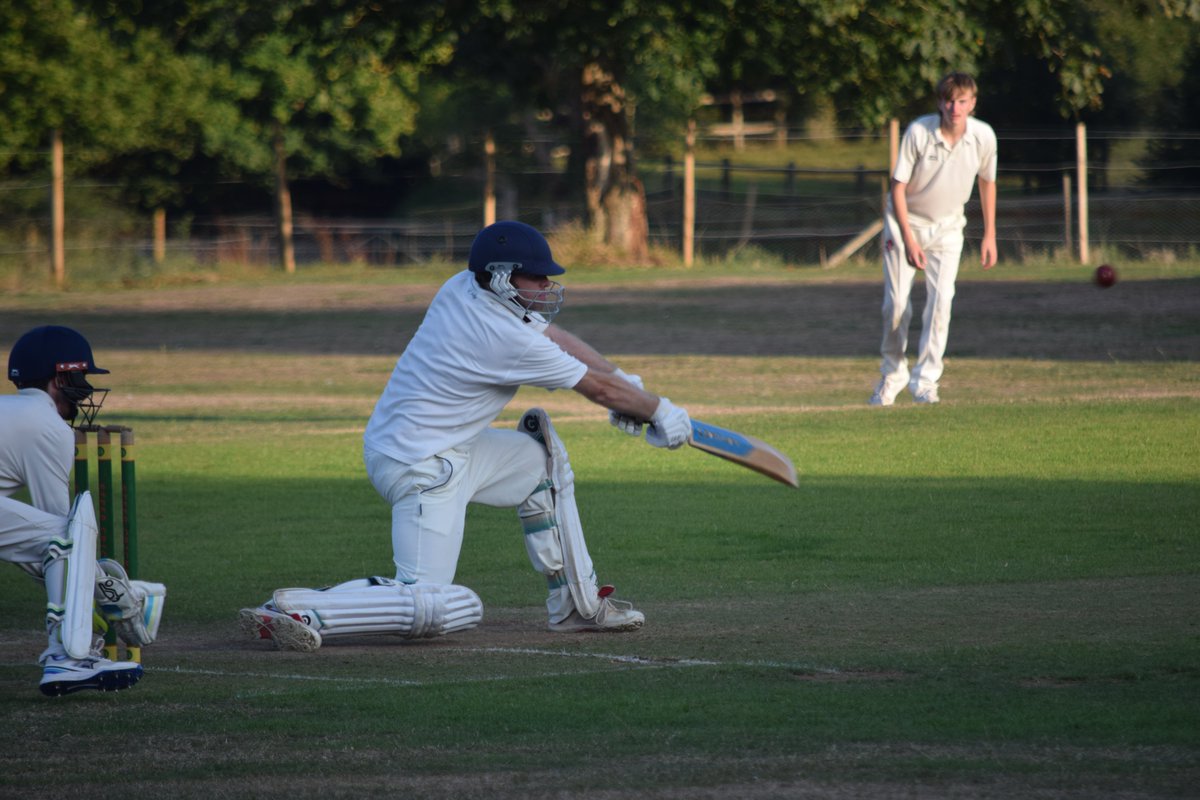 The Bushmen tweet media