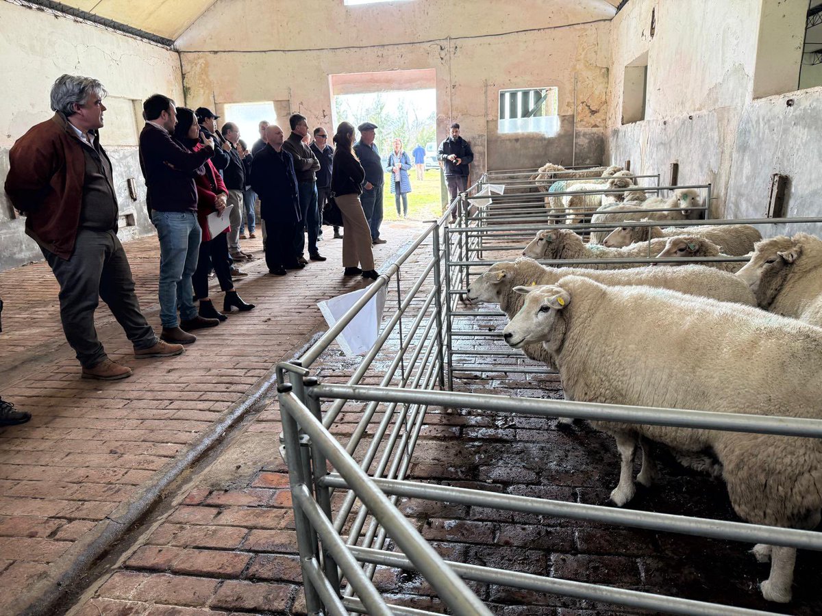 Carlos Daniel Camy (@cdcamy) on Twitter photo En visita a la Estación Experimental " Wilson Ferreira Aldunate" del <a href="/INIA_UY/">INIA URUGUAY</a>, en Las Brujas, Canelones. El desarrollo sostenible del sector agropecuario está indisolublemente unido al apoyo y modernización de los Institutos de investigación y conocimiento. En visita a la Estación Experimental " Wilson Ferreira Aldunate" del <a href="/INIA_UY/">INIA URUGUAY</a>, en Las Brujas, Canelones. El desarrollo sostenible del sector agropecuario está indisolublemente unido al apoyo y modernización de los Institutos de investigación y conocimiento.