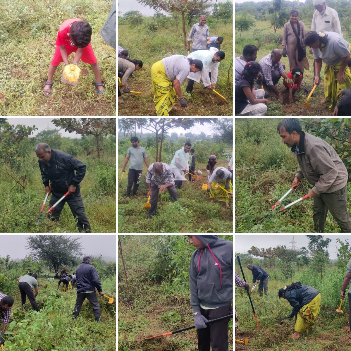 கோவை மாவட்டம் , மதுக்கரை வனச்சரகத்திற்கு உட்பட்ட பிள்ளையார்புரத்தில் நாம் நட்டு வைத்த மரக்கன்றுகளுக்கு மத்தியில் வளர்ந்த களைச் செடிகளை அகற்றும் களப்பணியில்  தன்னார்வலர்கள் நேற்று (17.8.2025) ஈடுபட்டனர்.

<a href="/KAmaippu/">Kovai Kulangal Padhukappu Amaippu</a>

#madukkarai #volunteering #afforestation #Miyawaki  #Coimbatore