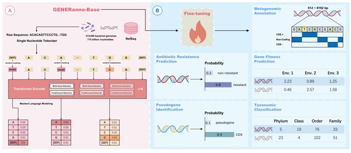 Generanno: A Genomic Foundation Model for Metagenomic Annotation biorxiv.org/content/10.110…