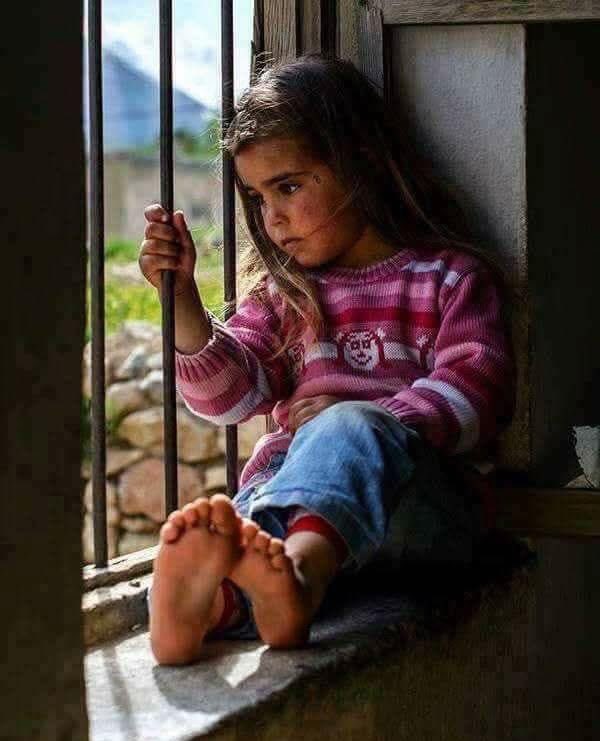 abdullah ipek tweet media