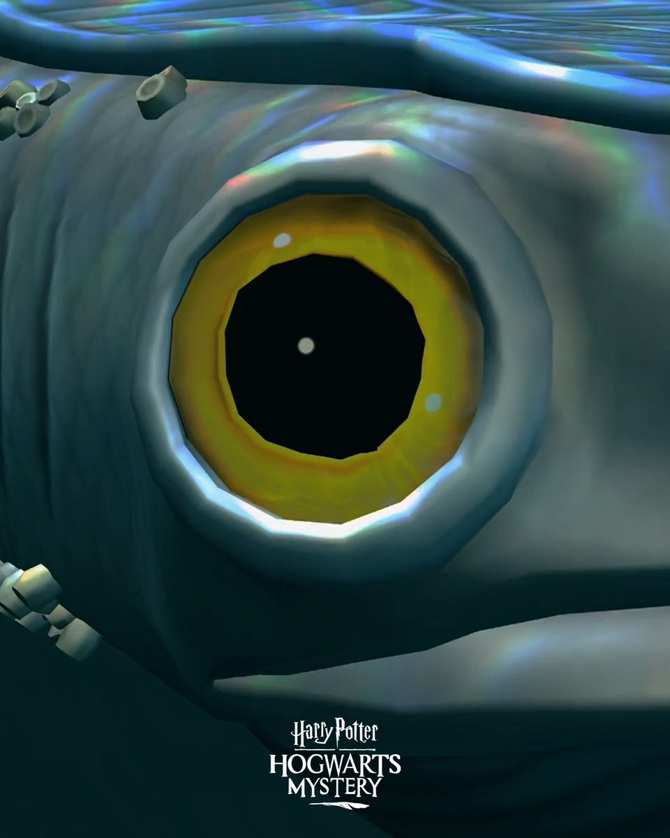 COMING SOON: A new Magical Creature is lurking in the depths of the Open Ocean...