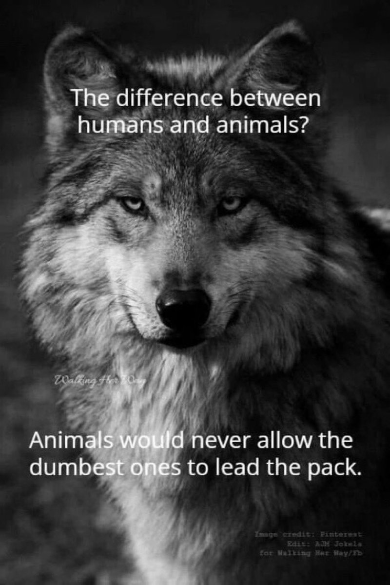 <a href="/Keir_Starmer/">Keir Starmer</a> <a href="/POTUS/">President Donald J. Trump</a> <a href="/ZelenskyyUa/">Volodymyr Zelenskyy / Володимир Зеленський</a> 👇