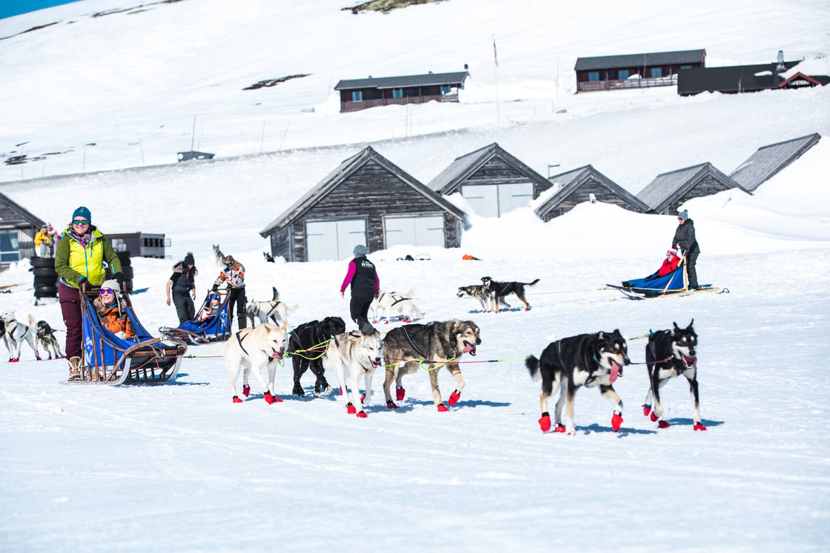 Life Unsettled tweet media