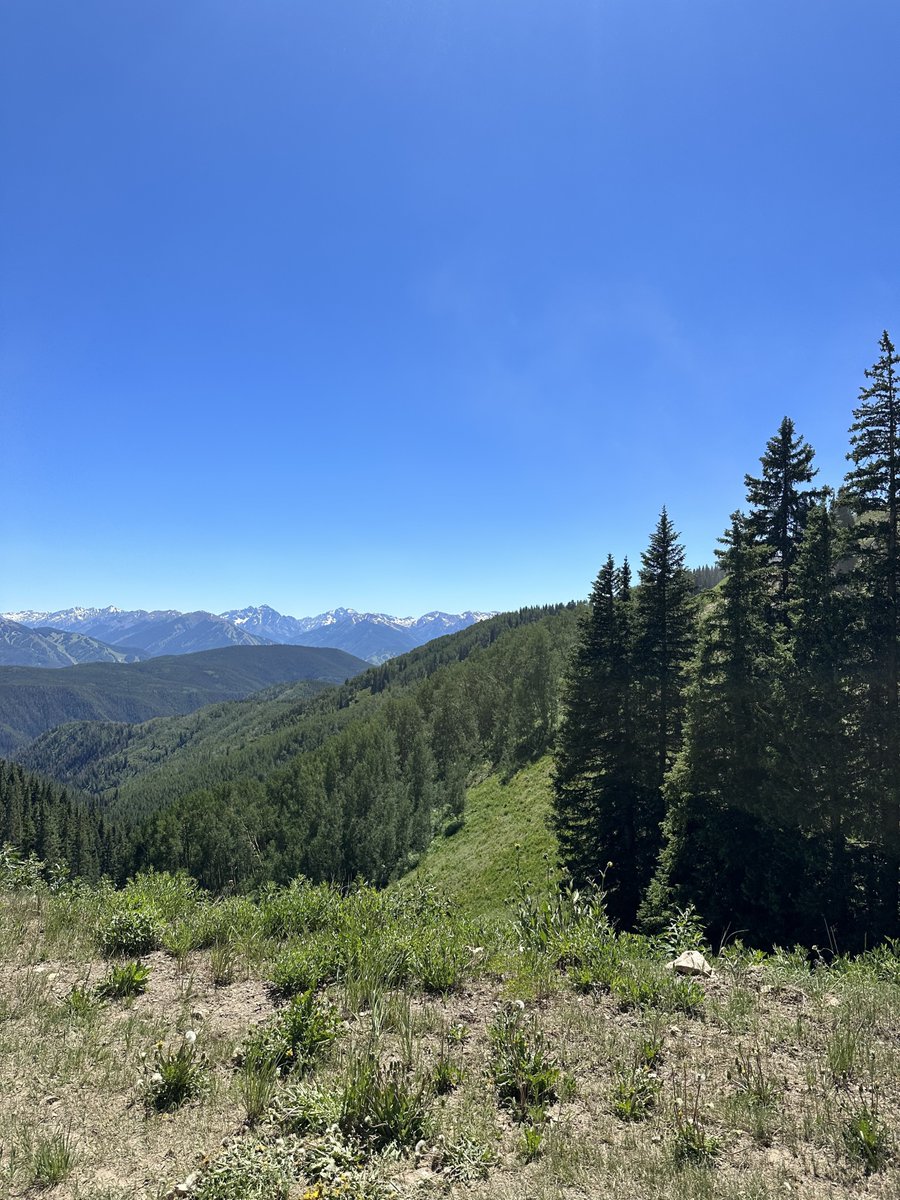 bwildinaspen's tweet photo. We are loving these summer views but looking forward to one of the best seasons in Aspen... swipe to see what we mean ➡ #AspenSummer #AspenFall https://t.co/beqLRxKTrn