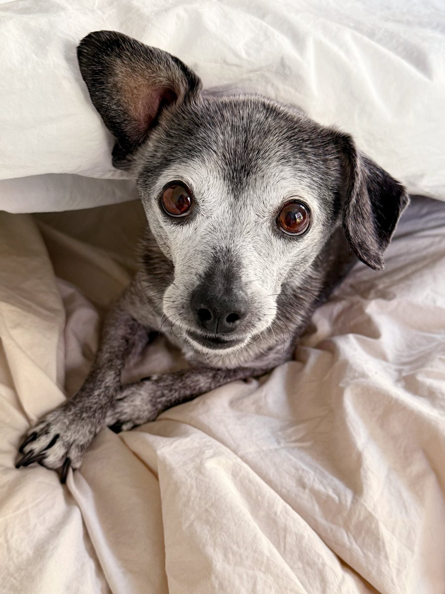 rise and shine? no thank you. breakfast in bed is more my speed.
