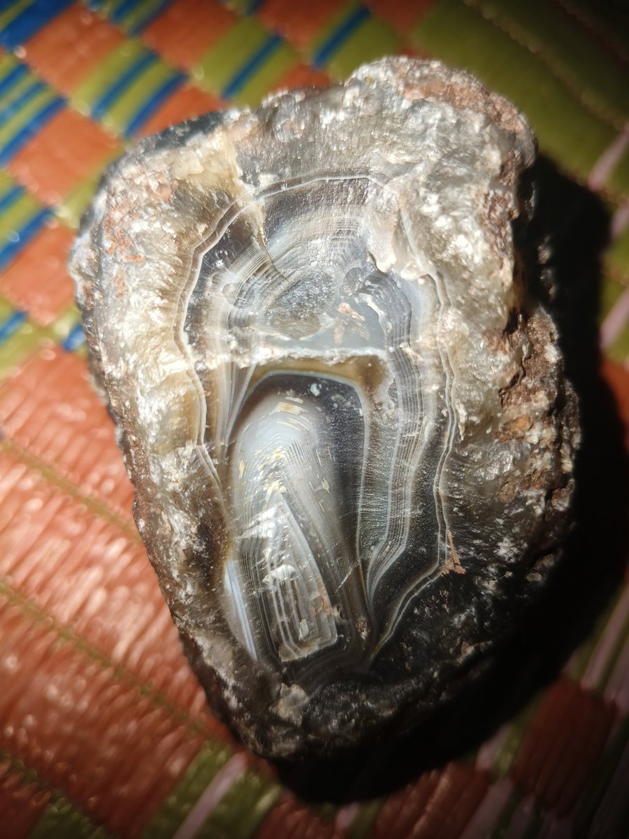 Is it fossil? any one have idea?#fossil