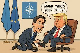 #TrumpZelenskyMeeting 
Aren't European fed up with begging #US for everything?
Only with Federal Europe, one diplomacy, one army, one voice will we be able to take our destiny in own hands🇪🇺💪
<a href="/VoltEuropa/">Volt Europa</a>