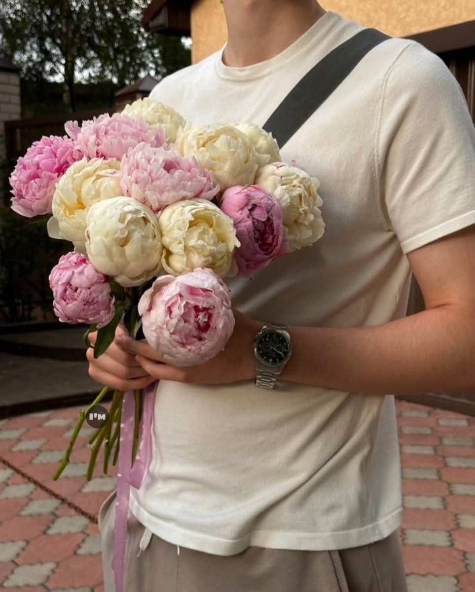 ماي تايب عموماً &lt;&lt;&lt;&lt;&lt;