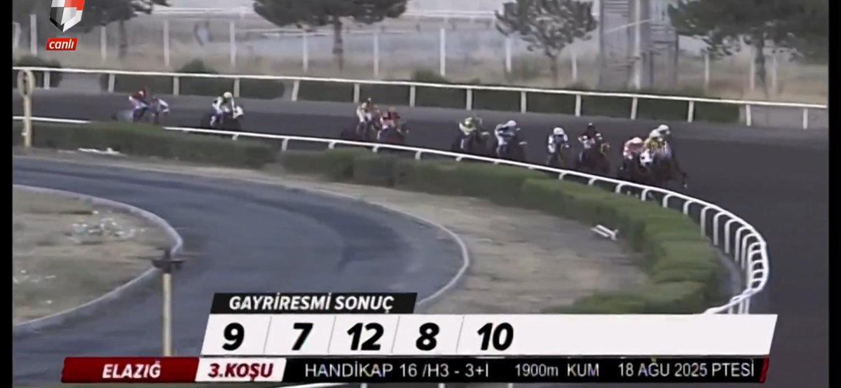 Akşam sohbet odasında 

9/2 olarak tek kalem verdim bu zorlu koşuyu dinleyenler ilk ayağı rahat geçti 
Bol şanslar dilerim değerlendirenlere 🍀