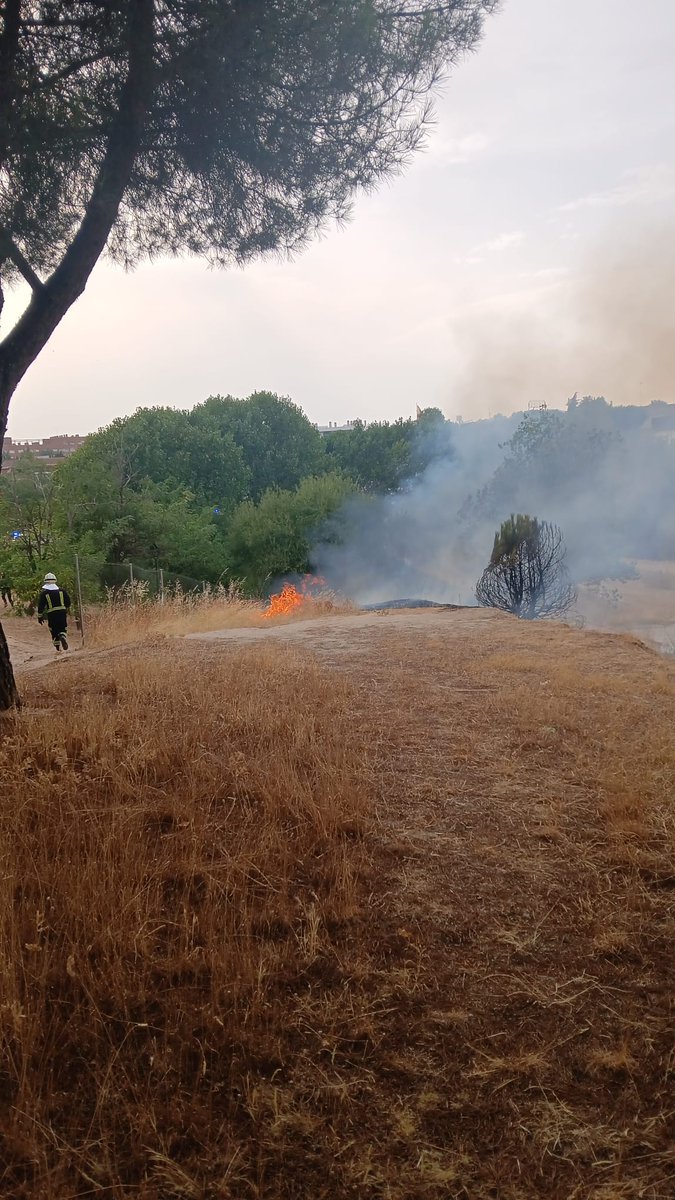 AVPC Móstoles tweet media