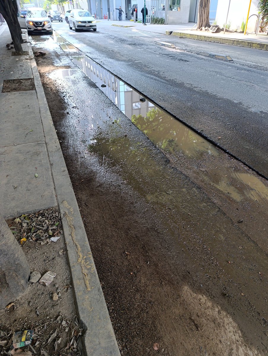 PericoDS tweet media