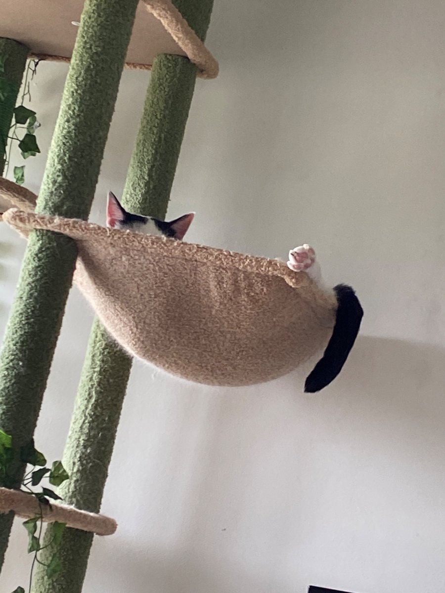 moving today. will be mostly offline this week!