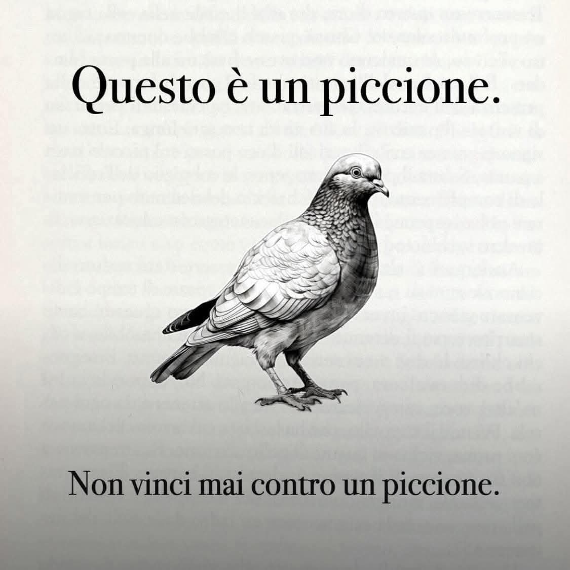 sanchioz's tweet photo. @pap1pap La sintesi. https://t.co/wxeM8dCJMg
