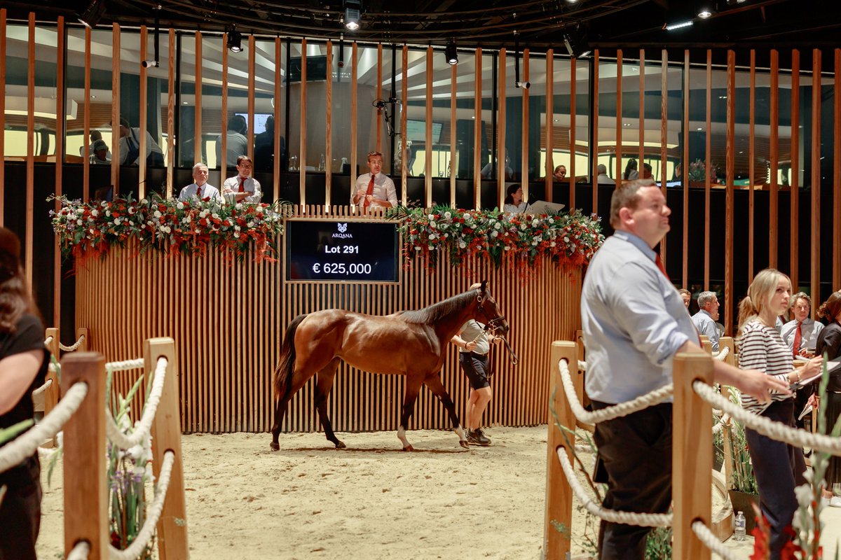 "I loved the horse and, most importantly, Shaikh Nasser loved the horse. If he’s happy, we’re happy, and he really wanted her as part of the broodmare band in the future."

Victorious Racing secures €625,000 Siyouni filly for growing broodmare band 👉 bit.ly/4oNRHXR