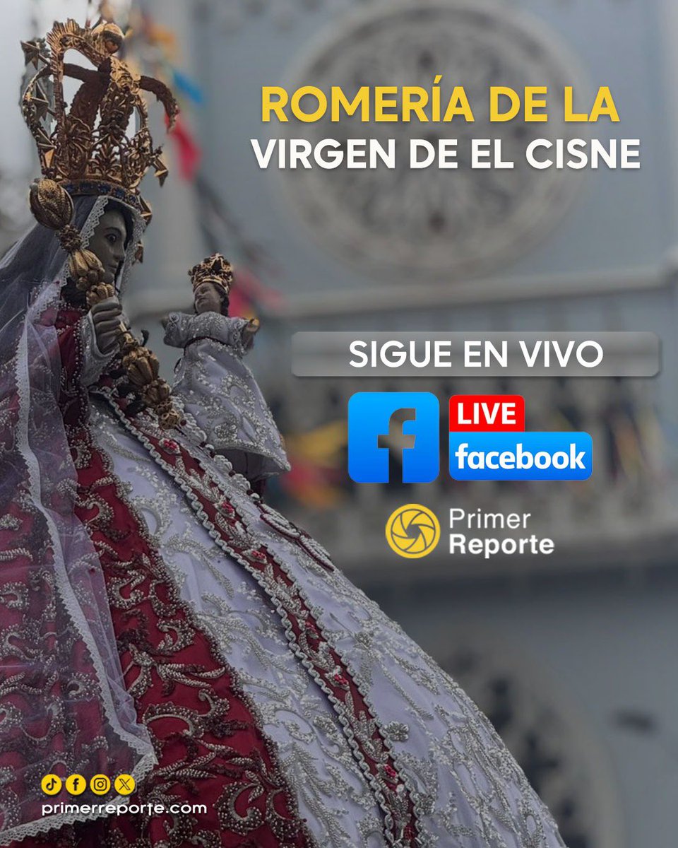 Estamos en vivo por <a href="/primereporte/">Primer Reporte</a>