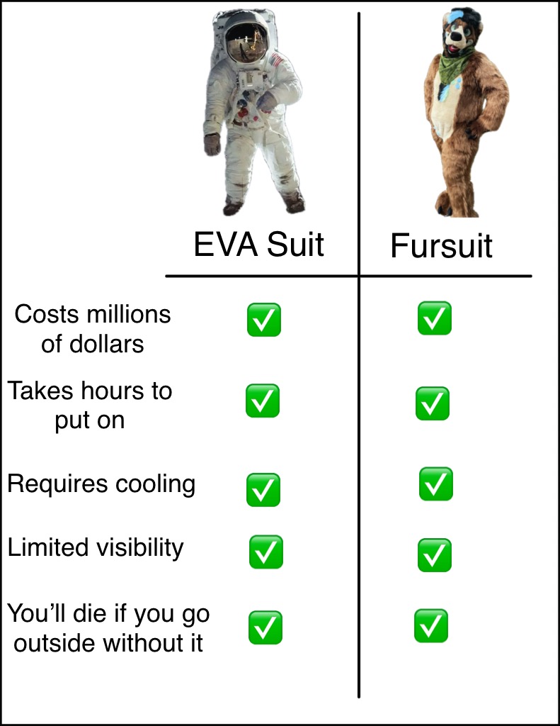 Orion the Bear (@oriontangobear) on Twitter photo 