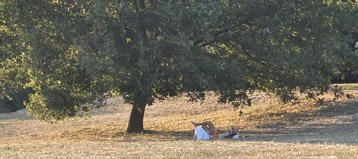 L'amore in ombra!