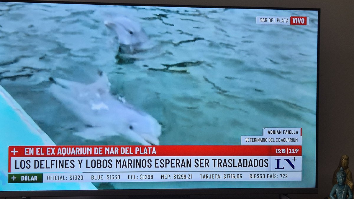 Sebastian Magnarelli tweet media