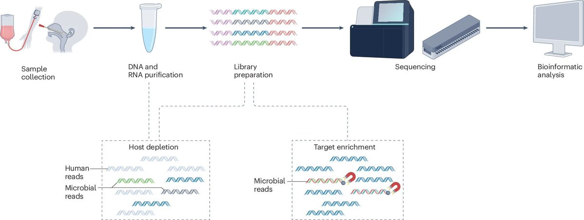 Javier Santoyo (@jsantoyo) on Twitter photo Clinical metagenomics for diagnosis and surveillance of viral pathogens. #ClinicalMetagenomics #Diagnosis #Surveillance #Genomics <a href="/NatureRevMicro/">Nature Reviews Microbiology</a>
nature.com/articles/s4157… Clinical metagenomics for diagnosis and surveillance of viral pathogens. #ClinicalMetagenomics #Diagnosis #Surveillance #Genomics <a href="/NatureRevMicro/">Nature Reviews Microbiology</a>
nature.com/articles/s4157…