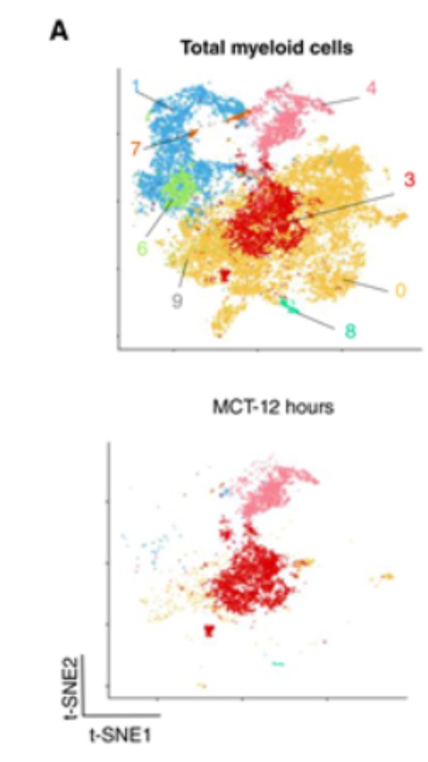 Sustained Macrophage Reprogramming Is Required for CD8+ T cell–Dependent Long-Term Tumor Eradication
 brnw.ch/21wV0or  <a href="/GIMM_Institute/">GIMM Foundation</a> <a href="/NMoraisLab/">NMorais Lab</a>  #gimmcare