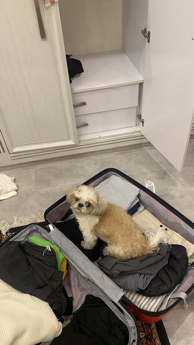 غم‌گین ترین تصویر جهان که هر دفعه موقع برگشتن باید تحملش کنم: کمد خالی، چمدون پر و کیت‌کت توش