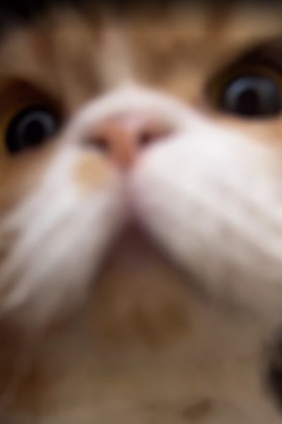 NTW tweet media
