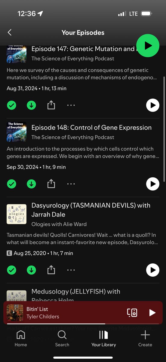 28 hour drive i’m ready