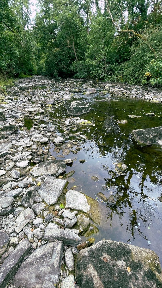 What a state!

River Ithon near Llandrindod Wells.

Virtually no flow. What water there is choked with algae and stinks.