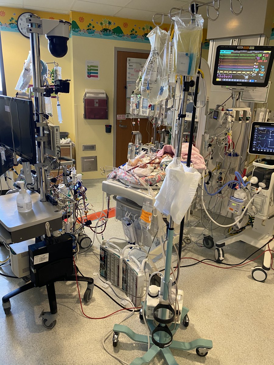 Justin Klekamp tweet media