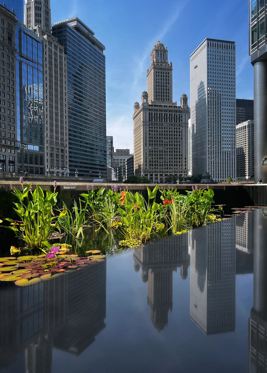 Ian Loynd tweet media