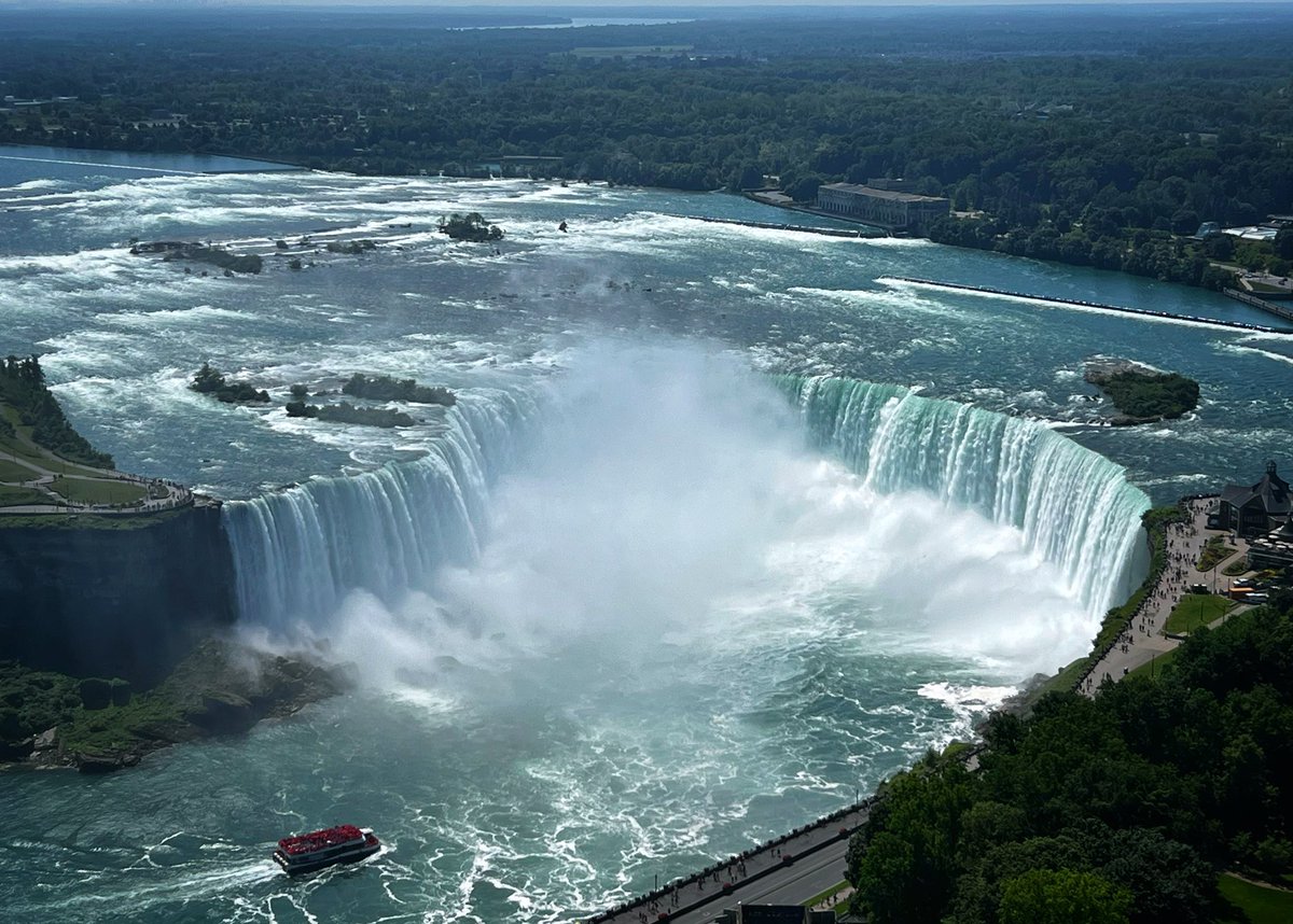 Ian Loynd tweet media