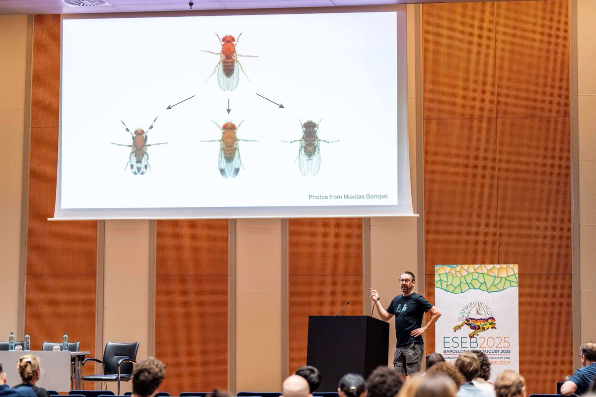 CCIB_Forum's tweet photo. 🧬 The Evolutionary Biology Congress #ESEB2025 brings together this week at the @CCIB_Forum over 1,900 scientists from 60 countries. 🌍

From August 18 to 22, the CCIB becomes the hub of cutting-edge science in evolutionary biology, with a program that includes 50 symposia and multiple parallel sessions

This congress attracts experts from disciplines such as genomics, paleontology, developmental biology, evolutionary medicine, and biodiversity, among others.

Welcome! 

@Fira_Barcelona @eseb2025